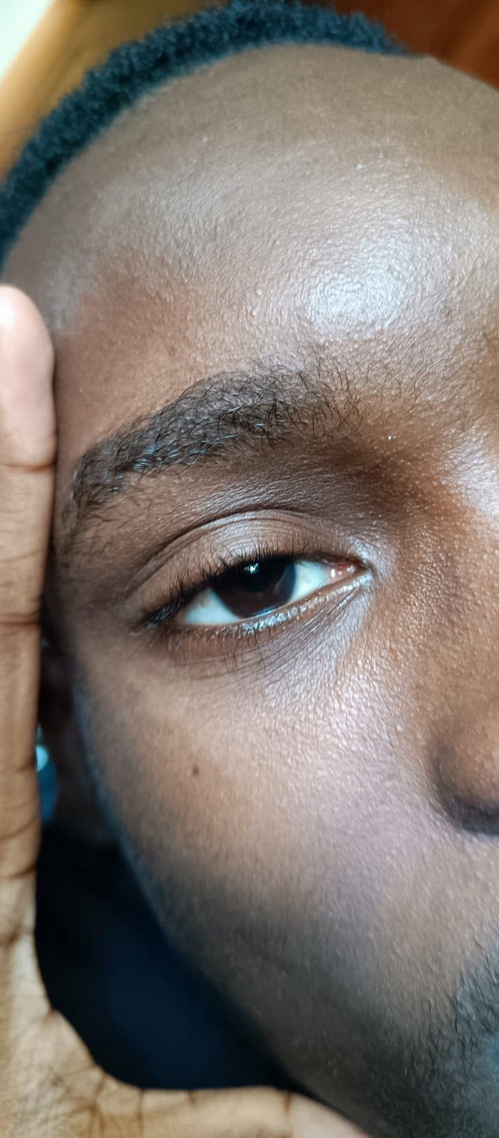 Gros plan sur un visage de profil, la lumière sur la tempe.